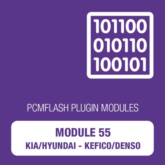 PCM Flash - Module 55 - Kia/Hyundai Kefico/Denso (pcmflash_module55)